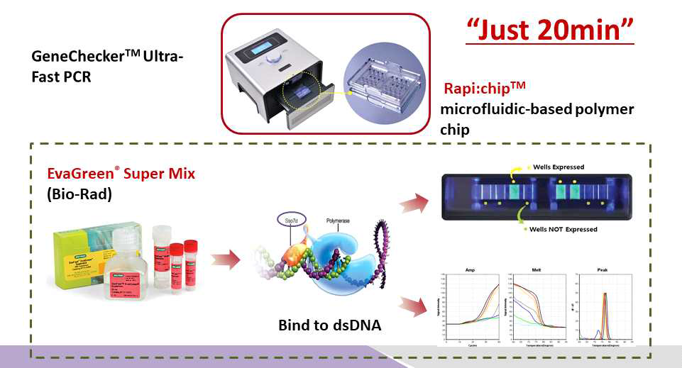 국내 GENESYSTEM사에서 개발한 Ultrafast PCR 기기 GeneChekerTM Ultrafast PCR