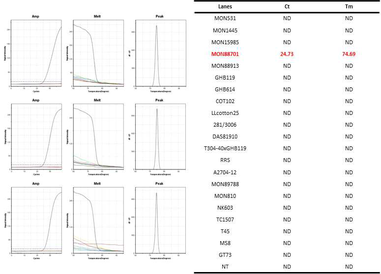 GM 면화 MON88701(MON88701 primer1/MON88701 primer2)에 특이적인 Ultrafast PCR 결과