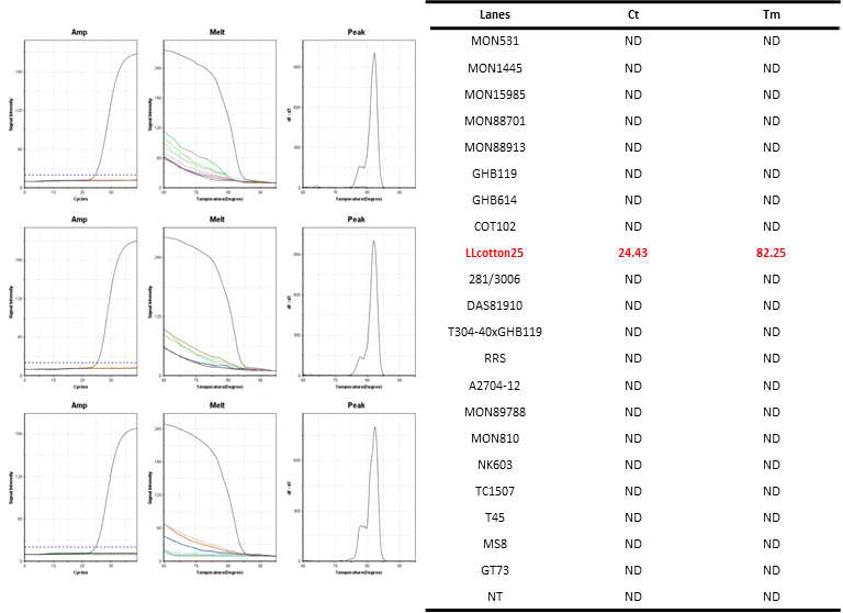 GM 면화 LLcotton25(LLcotton25-F3/LLcotton25-F4)에 특이적인 Ultrafast PCR 결과