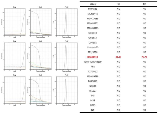GM 면화 DAS81910(1706-f2/1706-r3)에 특이적인 Ultrafast PCR 결과