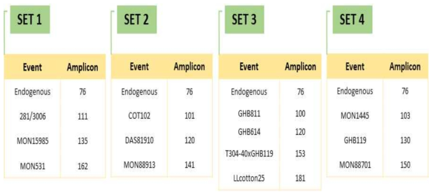 국내 승인 13종의 유전자변형 (GM) 면화 event-특이적 multiplex PCR의 구성도. (GBHB811 포함)