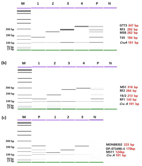 GM 국내 승인 11종의 유전자변형 (GM) 카놀라 event-특이적 multiplex PCR의 capillary electrophoresis 적용 결과. 왼쪽 패널은 각 primer에 특이적으로 증폭하는 GM 카놀라 event 정보 및 그 증폭된 DNA 밴 드 사이즈를 표시한다. 위로부터 각각 set 1, set 2, set 3. Lane M, 100bp DNA ladder; lane 1, T45 and endogenous gene; lane 2, MS8 and endogenous gene; lane3, RF3 and endogenous gene; lane 4, GT73 and endogenous gene; lane P, T45, MS8, RF3, GT73 and endogenous gene; lane N, no template Lane M, 100bp DNA ladder; lane 1, RF1 and endogenous gene; lane 2, 19/2 and endogenous gene; lane3, RF2 and endogenous gene; lane 4, MS1 and endogenous gene; lane P, RF1, 19/2, RF2, MS1 and endogenous gene; lane N, no template. Lane L, marker (100-bp DNA ladder); lane P, GM canola events MS11, DP-073496-4, MON88302, and endogenous gene; lane 1, GM canola event MS11 and endogenous gene, lane 2, GM canola event DP-073496-4 and endogenous gene, lane 3, GM canola event MON88302 and endogenous gene; lane N, no template