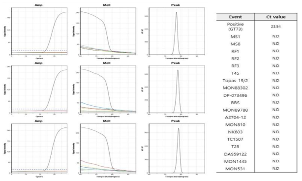 GM 카놀라 GT73 (GT73 primer1-5’/GT73 primer2-3’)에 특이적인 ultrafast PCR 결과