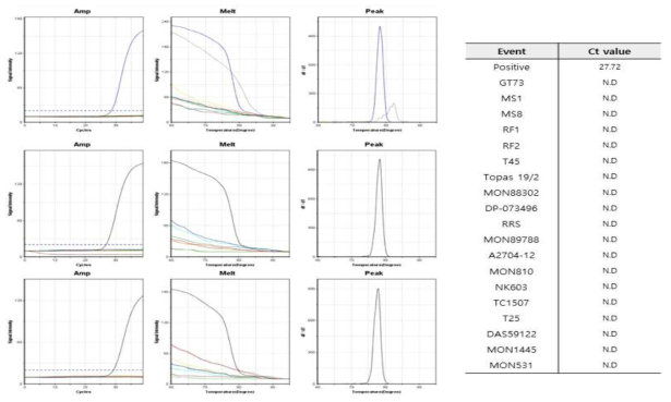 GM 카놀라 RF3 (DPA165-5´/KVM084-3´)에 특이적인 ultrafast PCR 결과