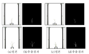 식물체 추출 결과 영상