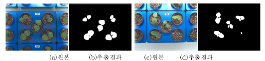 정밀환경측정시스템의 식물체 추출결과 영상