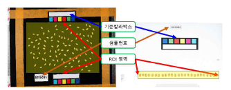 콩/벼 영상의 구성 예