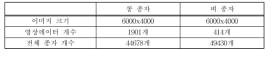 전체 이미지 개수 및 종자 개수