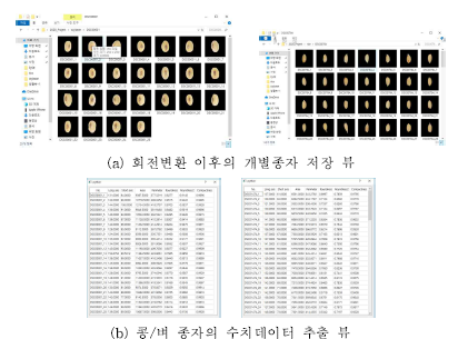 콩/벼 종자의 회전변환 이후의 개별 객체 저장 결과 및 수치데이터