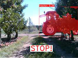 Colour image of large object half-hidden behind tree row