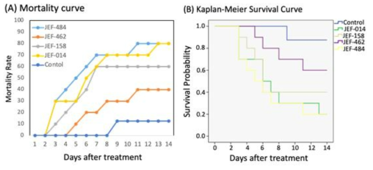 The mortality analysis of 4 selected Korea EPFs. (A) The mortality curve (B) Kaplan-Meier (KM) Survival Curve. Among these screened EPFs, JEF-484 showed faster killing and highest mortality rate to RPW larvae and followed by JEF-014, JEF-158 and JEF-462. 10 larvae were treated with each fungal strain; control were sprayed with 0.03% silwet for 8 larvae. For the KM survival analysis, the survival rate of JEF-484, JEF-014, JEF-158-treated larvae showed significant different to that of control (P<0.05); moreover, and JEF-484 also showed significant difference to JEF-462 (P<0.05). The statistical analysis was performed by log rank test cox model (SPSS)