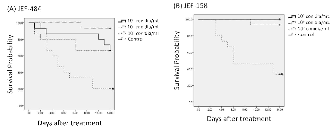 The quantitative bioassay (107, 106, 105 conidia/ml). Kaplan-Meier (KM) survival curve of (A) JEF-484 and (B) JEF-158 inoculated RPW larvae. A total 5 of RPW larvae were treated with each dosage; control were sprayed with 0.03% silwet. Total three replicates were performed. The KM survival analysis, the survival rate of 107 conidia/ml showed significant different to those of control, 106, 105 conidia/ml (P<0.05); The statistical analysis was performed by log rank test cox model (SPSS)