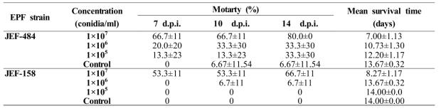 Mortality by days and Mean survival days of RPW larvae in second round bioassay