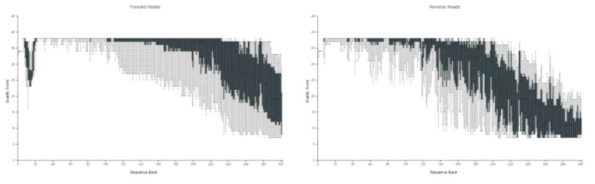 토양샘플의 메타지놈 데이터 리드 품질 체크 (오른쪽: FORWARD, 왼쪽: REVERSE)