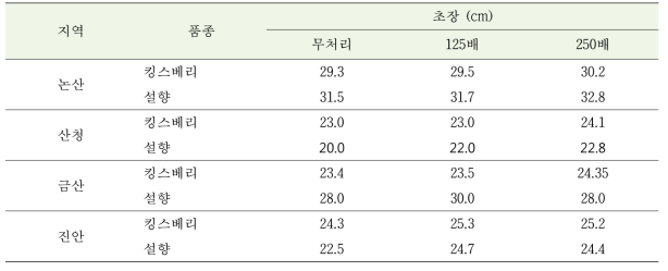 클로렐라 처리리농도별 딸기의 생육 비교(11.06)