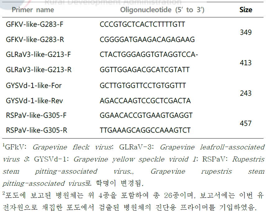 RT-PCR 진단을 위한 포도 바이러스 진단용 프라이머 목록1, 2