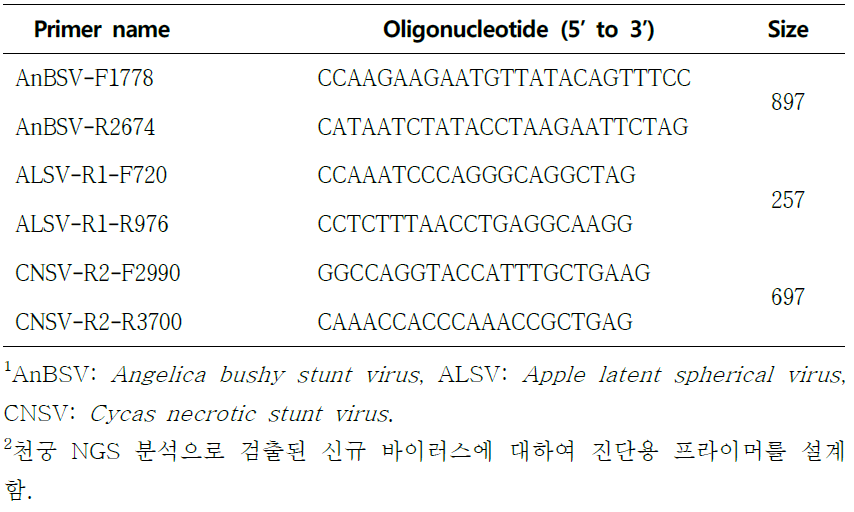 RT-PCR 진단을 위한 천궁 신규 바이러스 진단용 프라이머 목록1, 2