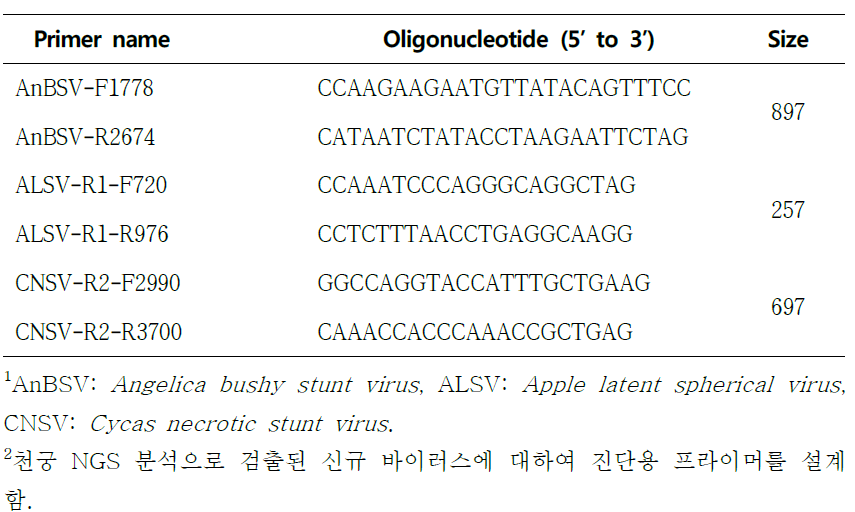 RT-PCR 진단을 위한 천궁 신규 바이러스 진단용 프라이머 목록1, 2