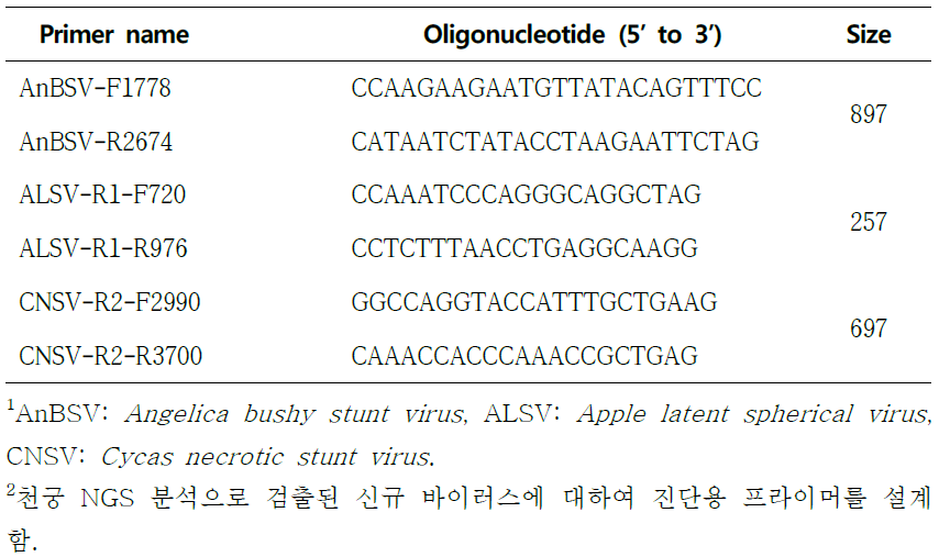 RT-PCR 진단을 위한 천궁 신규 바이러스 진단용 프라이머 목록1, 2