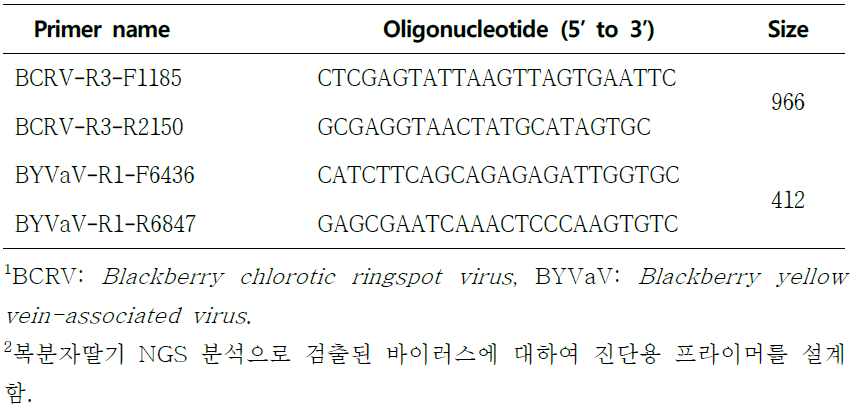 RT-PCR 진단을 위한 복분자 바이러스 진단용 프라이머 목록1, 2