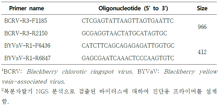 RT-PCR 진단을 위한 복분자 바이러스 진단용 프라이머 목록1, 2