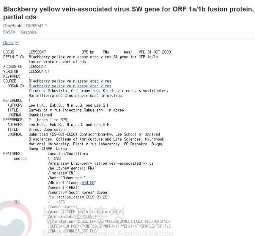 NCBI에 등록된 유전자원 염기서열 정보(9). 복분자딸기에서 검출된 BYVaV 일부 염기서열 정보를 등록함(accession no. LC592047)