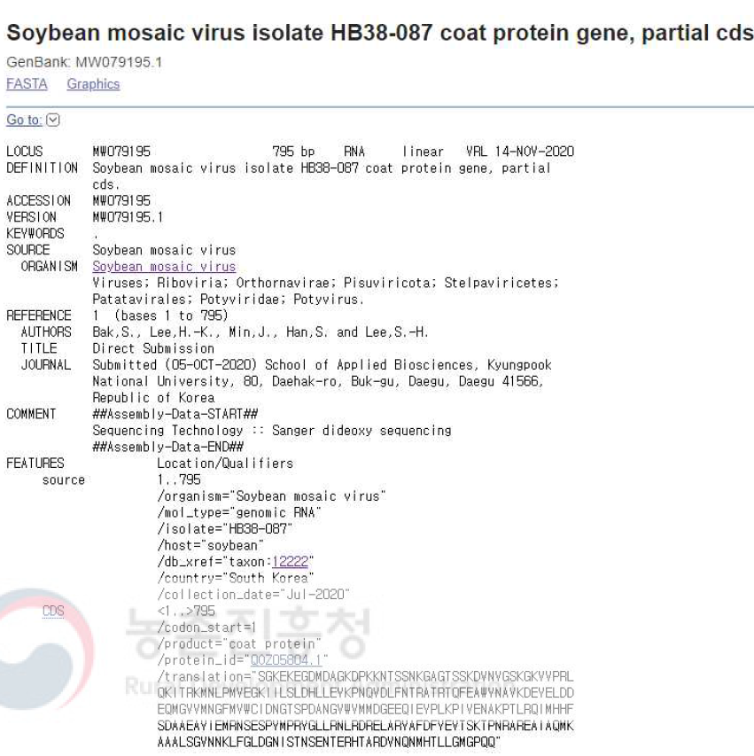 Soybean mosaic virus (SMV) isolate HB38-087의 NCBI GenBank 등록 정보. 콩에서 검출된 SMV HB38-087의 외피단백질 유전자 염기서열 정보를 등록함(accession no. MW079195)