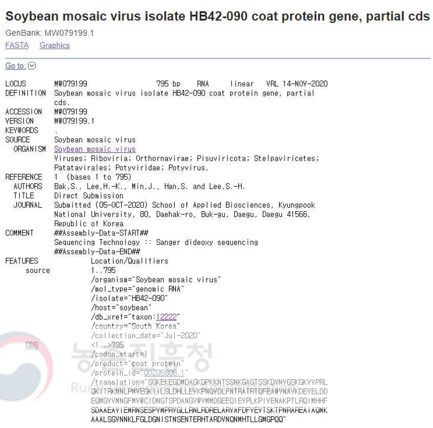 Soybean mosaic virus (SMV) isolate HB42-090의 NCBI GenBank 등록 정보. 콩에서 검출된 SMV HB42-090의 외피단백질 유전자 염기서열 정보를 등록함(accession no. MW079199)