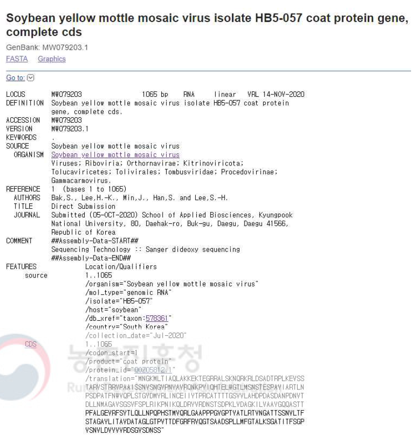 Soybean yellow mottle mosaic virus (SYMMV) isolate HB5-057의 NCBI GenBank 등록 정보. 콩에서 검출된 SYMMV HB5-057의 외피단백질 유전자 염기서열 정보를 등록함(accession no. MW079203)