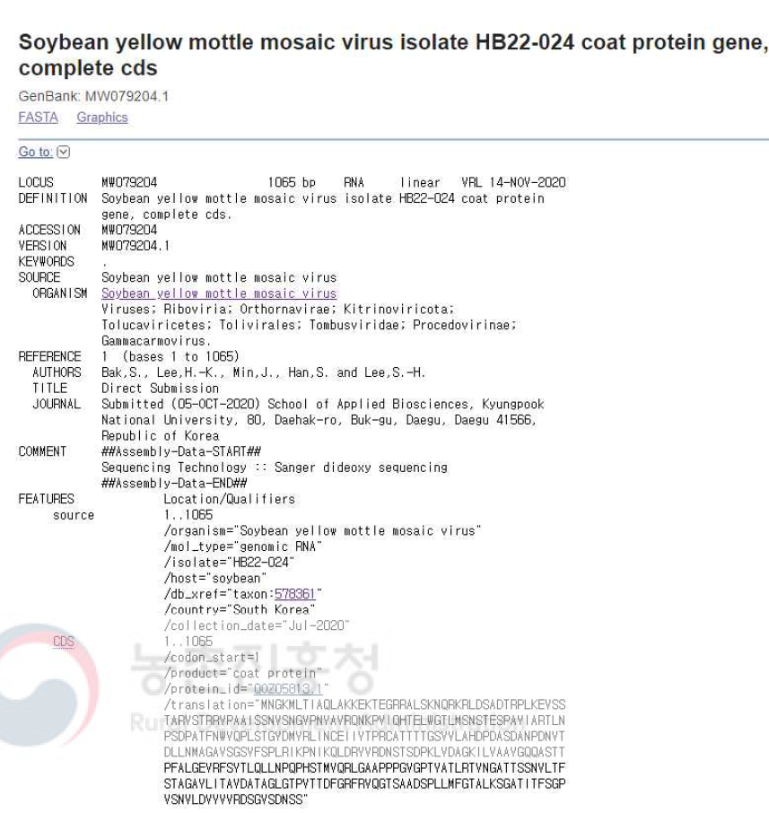 Soybean yellow mottle mosaic virus (SYMMV) isolate HB22-024의 NCBI GenBank 등록 정보. 콩에서 검출된 SYMMV HB22-024의 외피단백질 유전자 염기서열 정보를 등록함(accession no. MW079204)