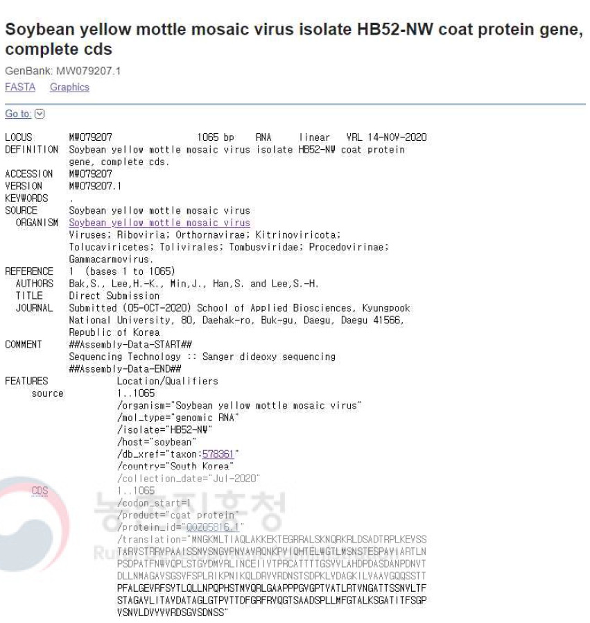 Soybean yellow mottle mosaic virus (SYMMV) isolate HB52-NW의 NCBI GenBank 등록 정보. 콩에서 검출된 SYMMV HB52-NW의 외피단백질 유전자 염기서열 정보를 등록함(accession no. MW079207)