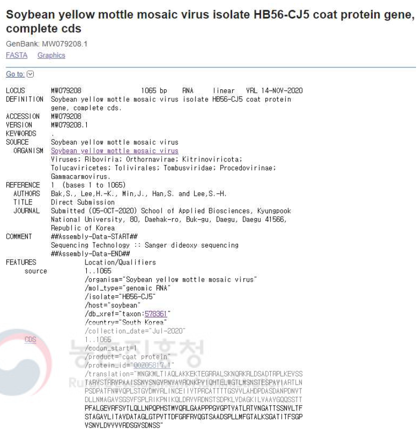 Soybean yellow mottle mosaic virus (SYMMV) isolate HB56-CJ5의 NCBI GenBank 등록 정보. 콩에서 검출된 SYMMV HB56-CJ5의 외피단백질 유전자 염기서열 정보를 등록함(accession no. MW079208)