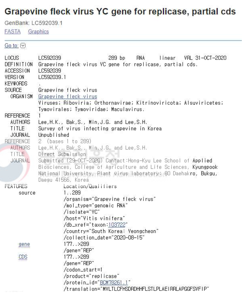 NCBI에 등록된 유전자원 염기서열 정보(1). 영천 포도에서 검출된 GFkV 일부 염기서열 정보를 등록함(accession no. LC592039)