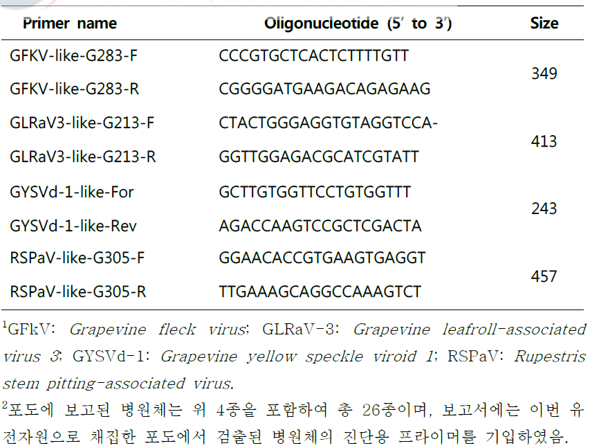 RT-PCR 진단을 위한 포도 바이러스 진단용 프라이머 목록1, 2