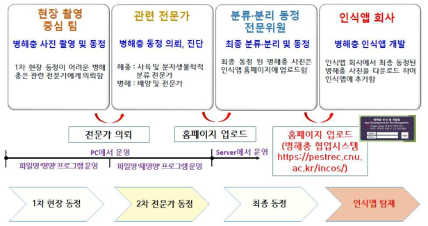 병해충 분리, 분류, 동정 진행과정