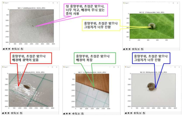 오류로 인식되는 사진