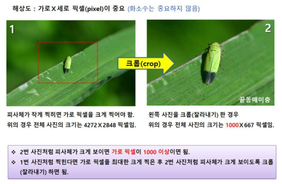 영상을 크롭화 하는 작업