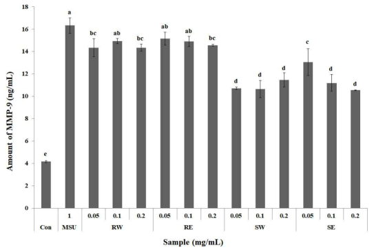아스파라거스 Atlas 품종 추출물의 RAW 264.7 세포 내 MMP-9 발현량 측정. RW; 뿌리 열수 추출물, RE; 뿌리 20% 에탄올 추출물, SW; 지상부 열수 추출물, SE; 지상부 20% 에탄올 추출물