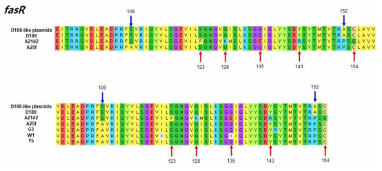 fasR 유전자 아미노산 서열을 이용한 분리 균주의 genotype 확인(W1:완주 분리균, G3:과천 분리균, Y5:영월 분리균)