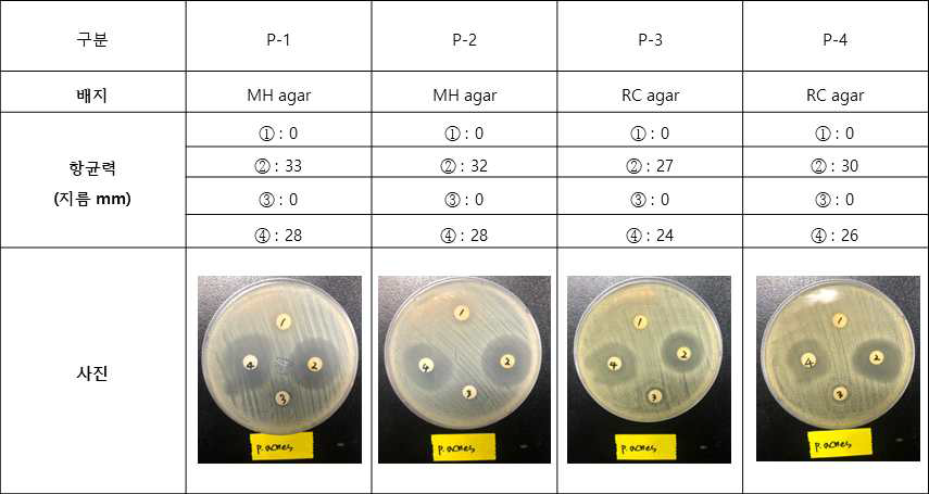Propionibacterium acnes에서의 항균력 비교