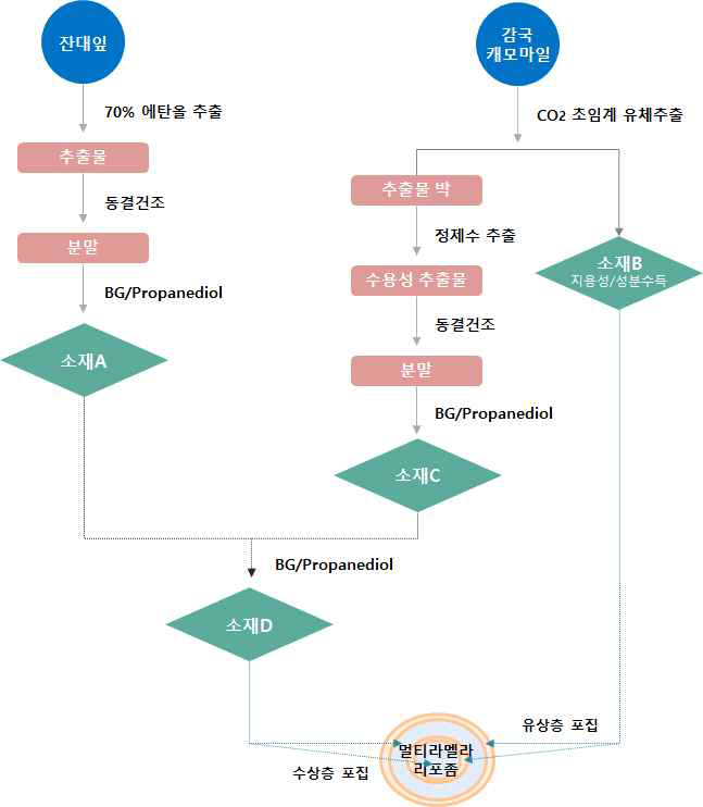 기술의 핵심 공정