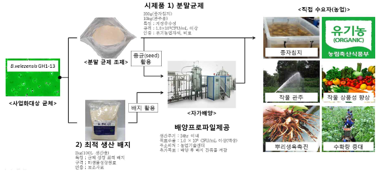 연구개발 범위