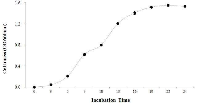 배양시간에 따른 생육속도