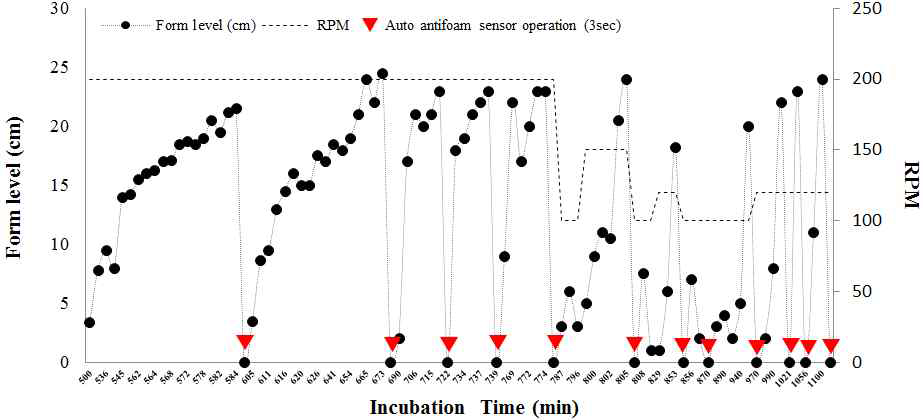 배양시간에 따른 교반속도/폼 추가 활용/거품 발생량