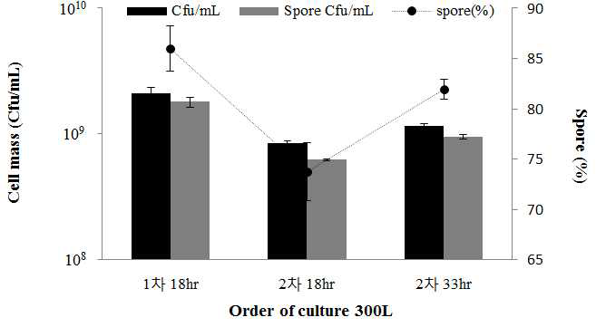 500L 생산별 생균수 및 포자 형성률