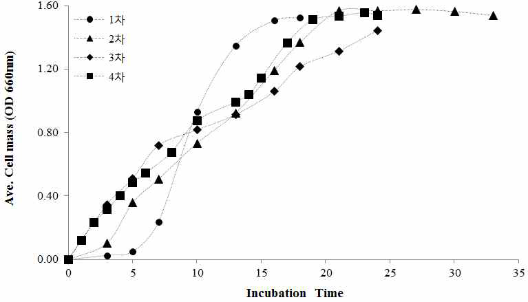 배양시간에 따른 생육속도
