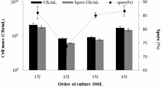 각 배양 조건 별 배양 종료에 따른 생균 및 포자 형성 비교