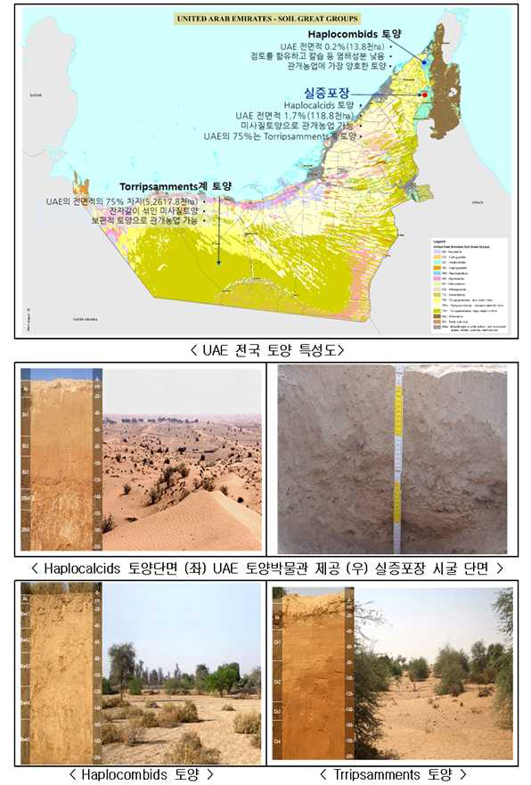 UAE의 토양특성 및 분포