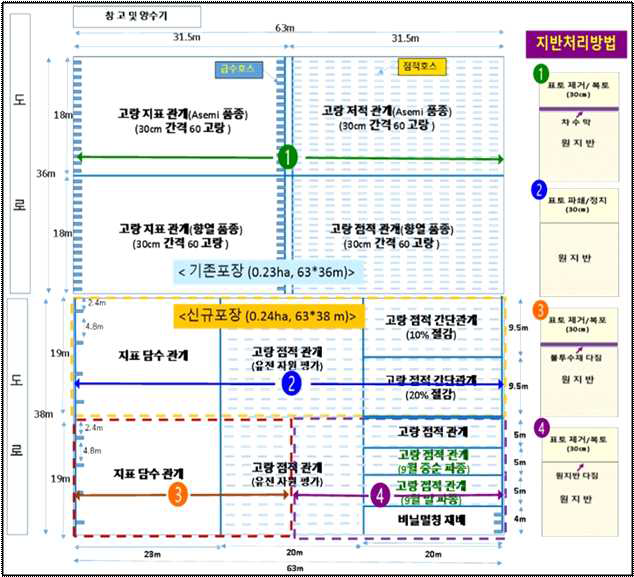 기존 및 신규포장 정비 계획도