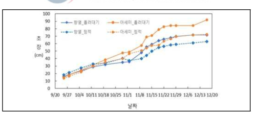 관개방법별 전 기간 초장(㎝) 변화